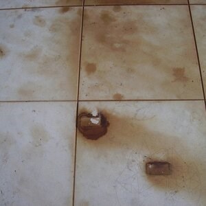 LTP Profesional Rust Remover for marble, travertine, limestone surfaces, 1 L