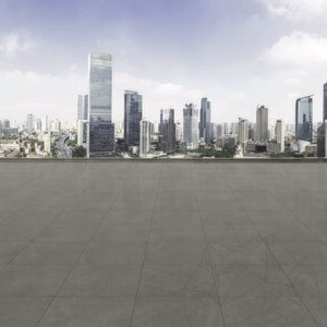 Sinterized Stone L'ALTRA PIETRA Colosseo Silvergrau, 60 X 60 X 2 cm, R11 - Non-Slip for outdoor use