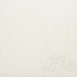 Limra Polished Limestone, 60 x 60 x 2 cm