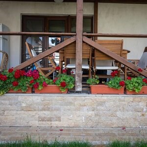 Noce Splitface Travertine, 7.5 cm x FL x 2.2 cm