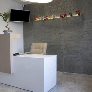 Flexible Slate SKIN MicroStone 1mm - Jeera Green, 265 x 125 cm | Ultra-Flexible Stone for Walls, Furniture