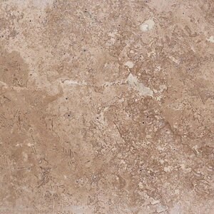 Latte Brushed PREMIUM Travertine 61 x 40.6 x 3 cm