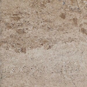 Latte PREMIUM Brushed & Bullnosed Travertine (Stairs/Pool Coping), 61 x 30.5 x 3 cm