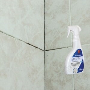 LTP Profesional Mouldex, Detergent for mould spores (cleans & maintains), 500 ml