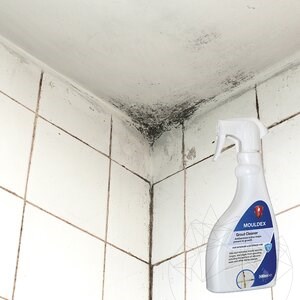 LTP Profesional Mouldex, Detergent for mould spores (cleans & maintains), 500 ml