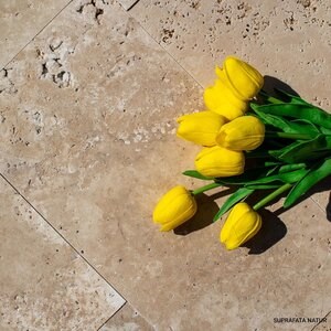 Classic Cross Cut Brushed Travertine 40.6 x 20.3 x 1.2 cm