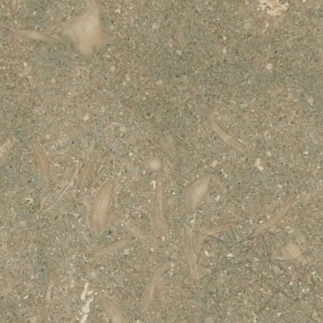 Oliva Honed Limestone, 61 x 30.5 x 1.2 cm