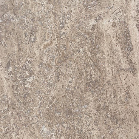 Latte PREMIUM Honed Travertine Slab 2cm