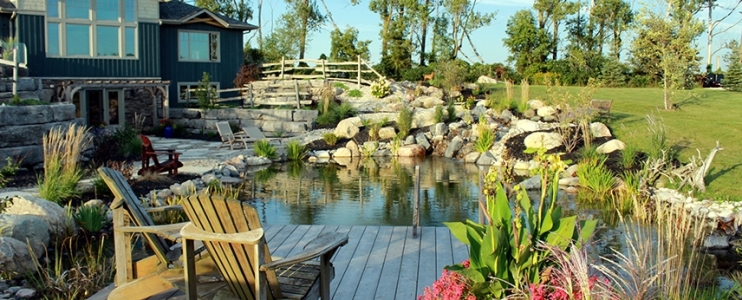 Practical guide for building a natural swimming pool in your backyard  
