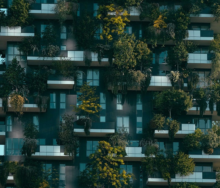 What is Architecture?