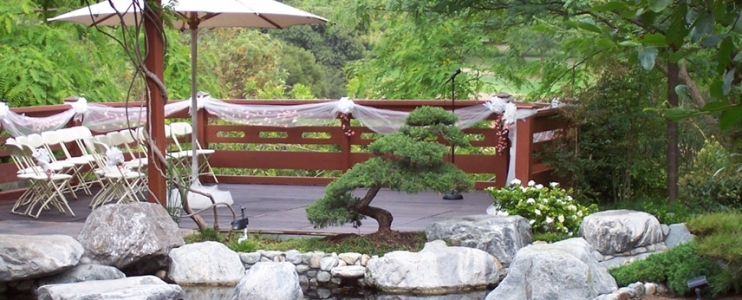 The 7 Principles of Zen applied to Japanese Garden